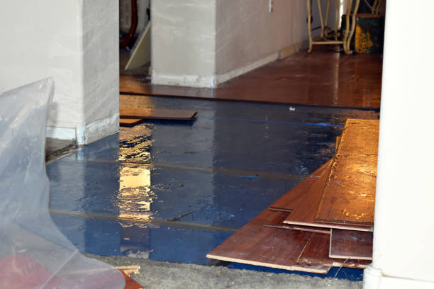Professional Sewage Cleanup technician working in Morrisville, NY